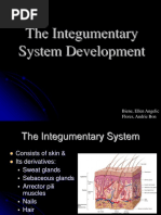 The Integumentary System Development: Biene, Ellen Angelic Flores, Andrie Bon