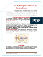 Mecanismos de Transporte A Través de La Membrana