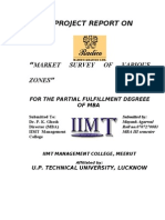 A Training Project Report On Market Survey of Various Zones B