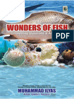 Wonders of Fish - Interesting Questions & Answers