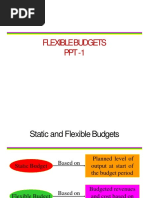 Flexible Budget (Compatibility Mode)