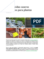 18 Pesticidas Caseros Ecológicos para Plantas