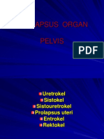 Prolaps Uteri