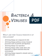 Bacteria and Viruses Notes