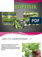 HIDROPONIK