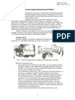  Activatorul Reglatorul Functional Frankel