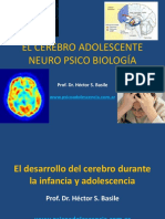 Cerebro Adolescente