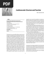 Cardiovascular Structure and Function: Outline