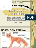 6 - Mamiferos-Morfologia y Clasificacion