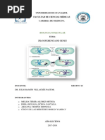 Transferencia de Genes Final