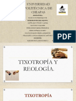 Exposicion Tixotropia y Reologia