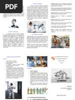 Triptico Robotica