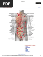 Puntos - Torso PDF