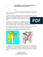 Biomecánica Del Hombro PDF