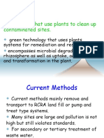 Technology That Use Plants To Clean Up Contaminated Sites