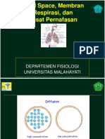 Fisiologi - Dead Space (Dr. Ringgo)