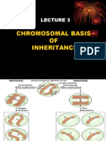 Chromosomal Basis OF Inheritance