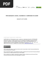 Determinantes Sociais, Econômicos e Ambientais Da Saúde