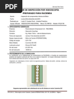 IVR-018-15 - Inspección Por Videoscopía A Motor Cummins - Camión COY-703-RACIEMSA