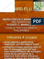 Bird Flu: MSC Epidemiology Doctor of Veterinary Medicine Philippines