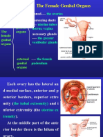 Section 2 The Female Genital Organs: Gonad - Conveying Ducts - Accessory Glands