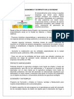 Actividad Economica y Su Impacto en La Sociedad