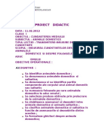 Competente Proiect