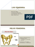 Pelvis Femenina