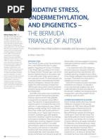 Walsh The Bermuda Triangle of Autism PDF