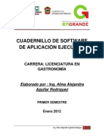 Software de Aplicacion Ejecutivo