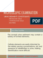 Microscopic Exam 01 - RBC, WBC, Bacteria