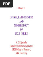 Causes of Cell Injury