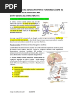 Cap. 46 Organizacion Del Sistema Nervioso