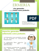 Aspectos Generales Enfermera Como Profession