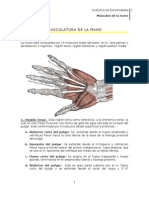 Musculos de La Mano