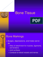 Bone Tissue24