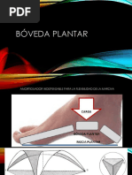 Boveda Plantar