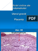 Modif Ciclice Placenta ST