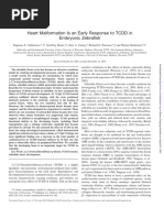 Heart Malformation Is An Early Response To TCDD in Embryonic Zebrafish