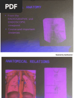 Esophagus