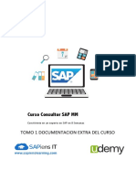 Tomo 1 Curso Consultor Sap Udemy