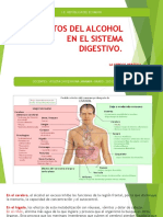 1efectos Del Alcohol en El Sistema Digestivo - La Cirrosis Hepática