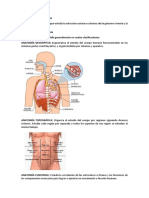 Anatomía y Su Clasificación