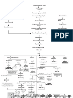 Woc CKD HD