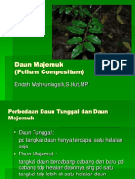 Daun Majemuk