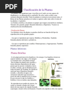 Clasificación de La Plantas