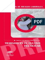 Manual Riesgo Laborales - Cultivo - Olivar PDF