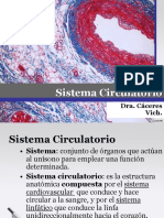 5 Histología Del Sistema Circulatorio