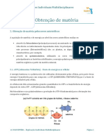 Obtenção de Matéria Pelos Seres Autotróficos PDF