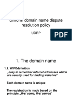 Uniform Domain Name Dispute Resolution Policy